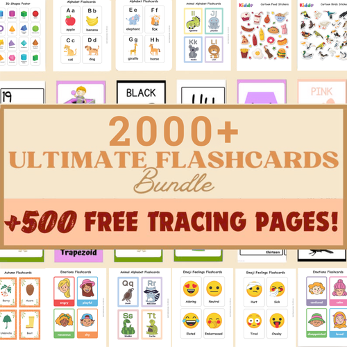 2,000+ Regular & Descriptive Flashcards | Visual Learning & Vocabulary Kit
