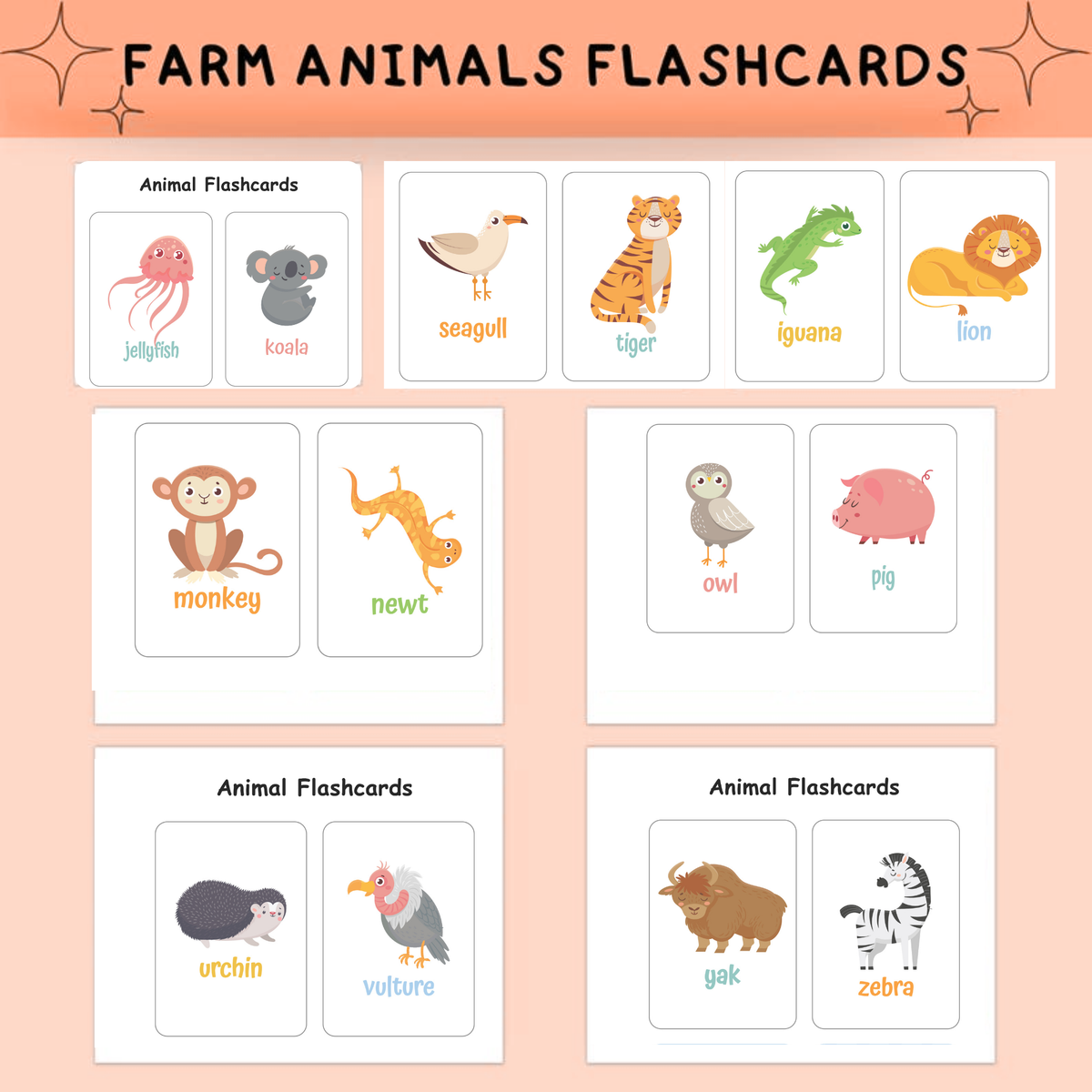 2,000+ Regular & Descriptive Flashcards | Visual Learning & Vocabulary Kit