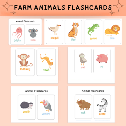 2,000+ Regular & Descriptive Flashcards | Visual Learning & Vocabulary Kit